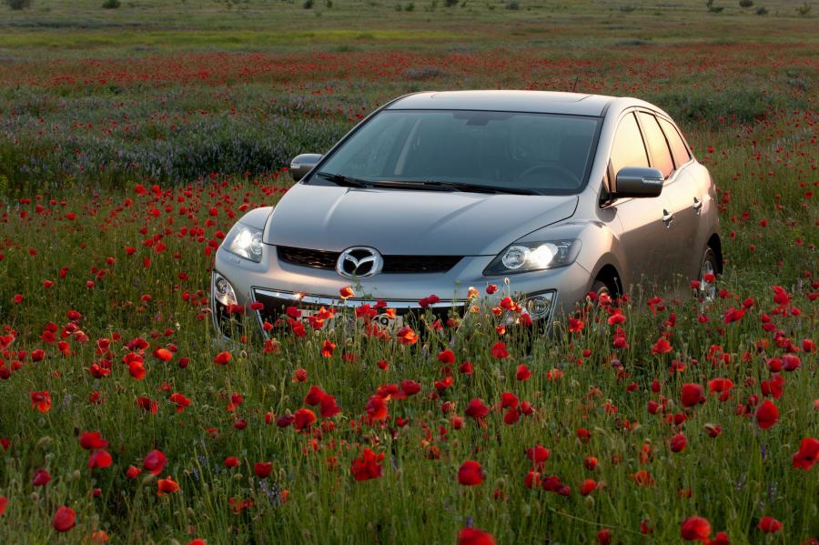  Mazda CX-7 2007 года  (фото 184 из 353)